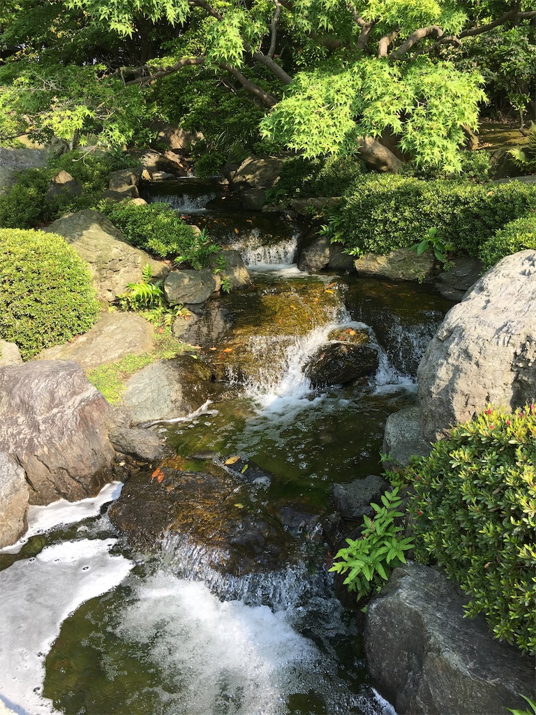 f:id:nijiro7:20190515060708j:image