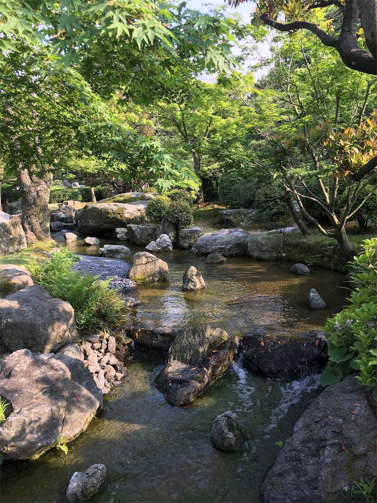 f:id:nijiro7:20190515061146j:image
