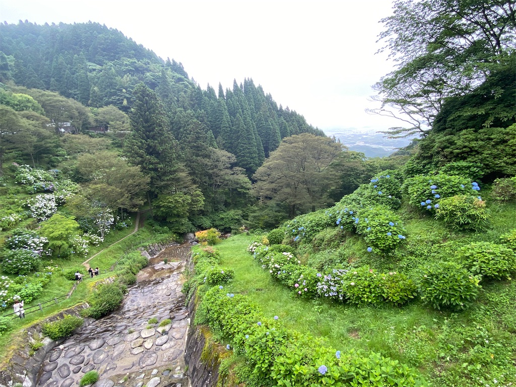 f:id:nijiro7:20260701123639j:image f:id:nijiro7:20260701123639j:image