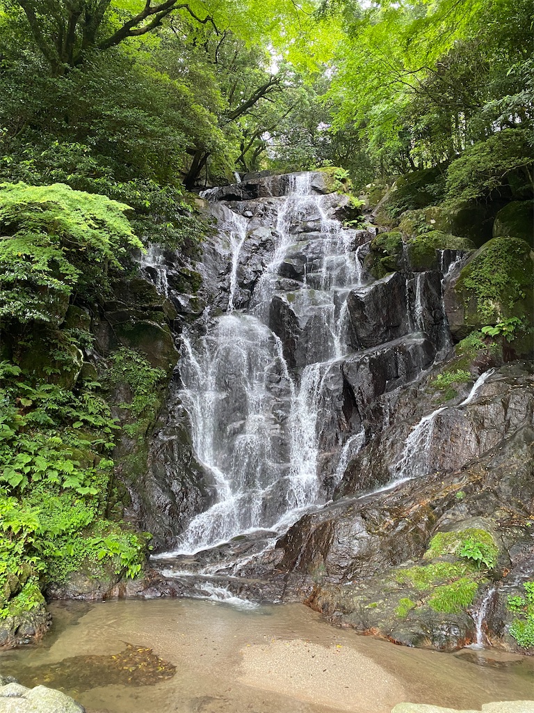 f:id:nijiro7:20260701123702j:image f:id:nijiro7:20260701123702j:image