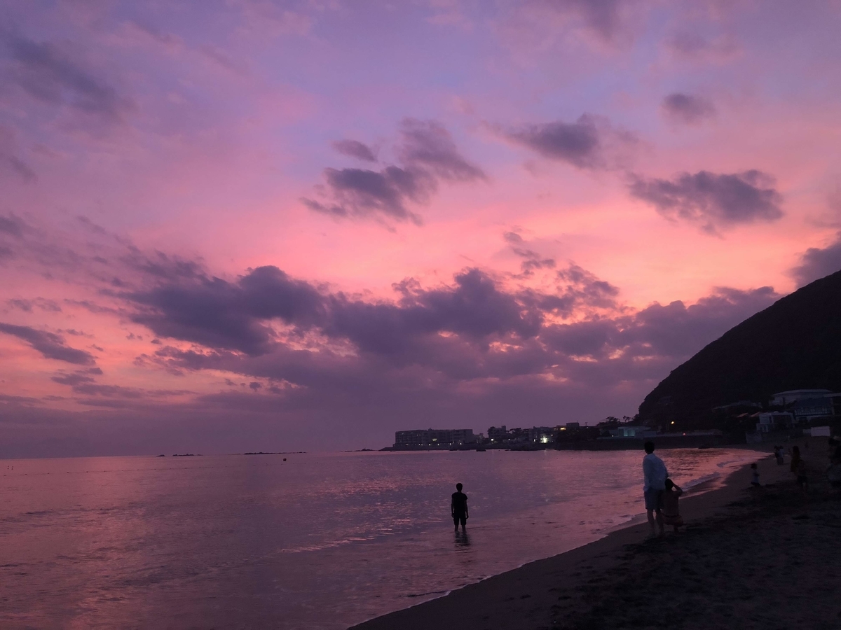f:id:nika_zushihayama:20200215222811j:plain