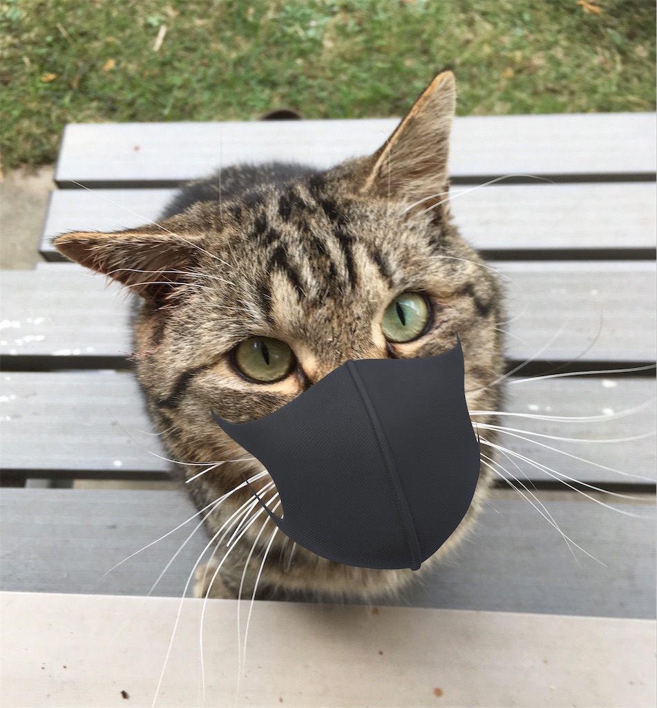 f:id:niko25neko3:20200425131126j:image f:id:niko25neko3:20200425131126j:image