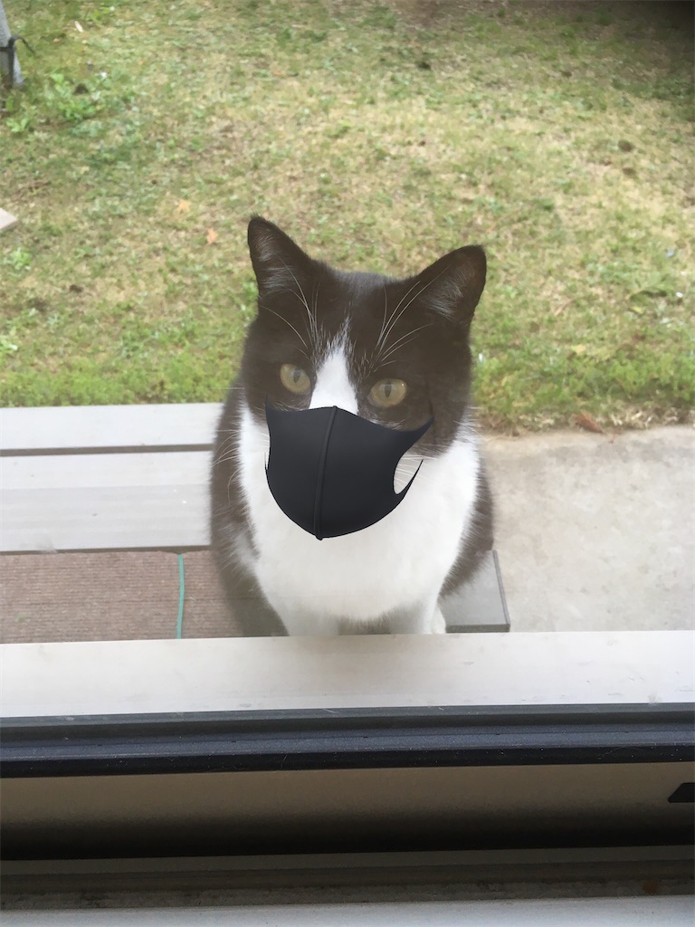 f:id:niko25neko3:20200425131132j:image f:id:niko25neko3:20200425131132j:image