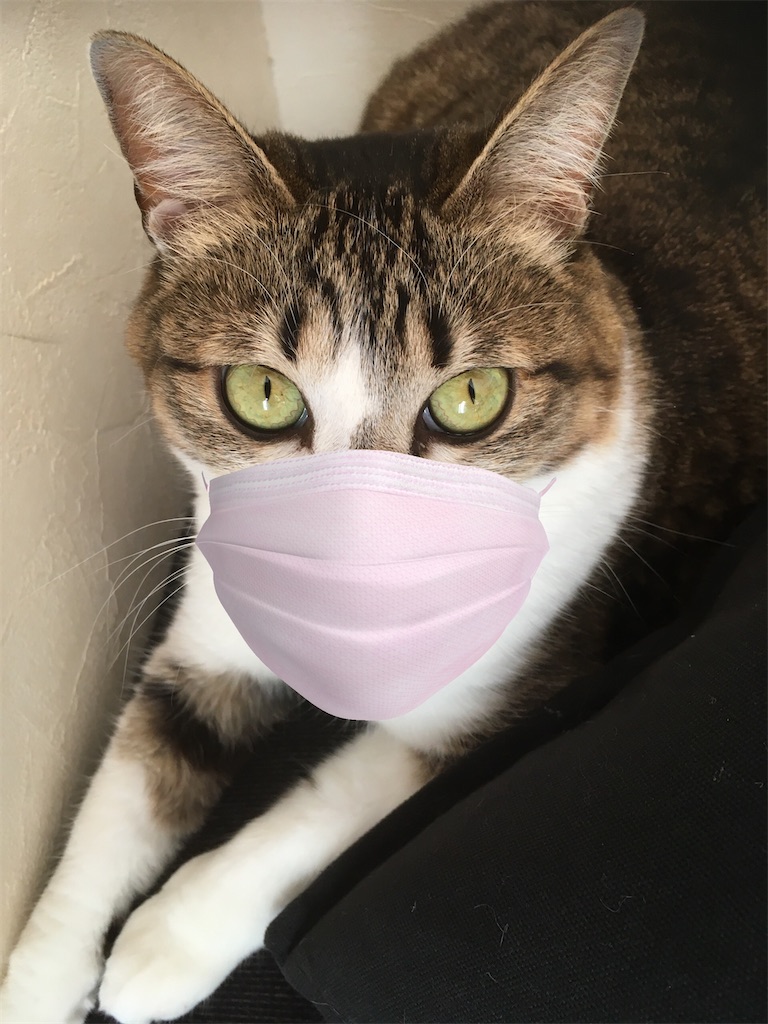 f:id:niko25neko3:20200425131141j:image f:id:niko25neko3:20200425131141j:image