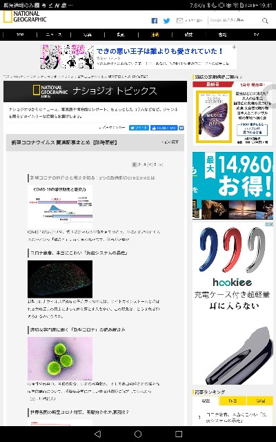 f:id:niko83:20200513194122j:plain