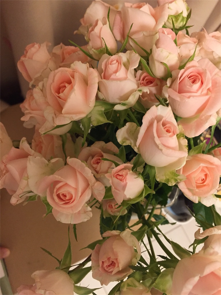 f:id:nikojazz:20161110101635j:image