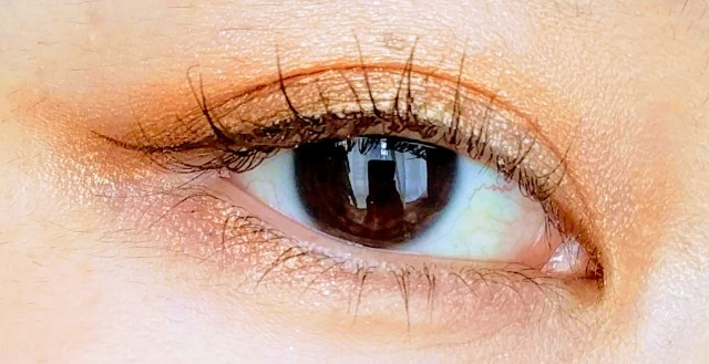 f:id:nikolog:20200811002705j:image f:id:nikolog:20200811002705j:image