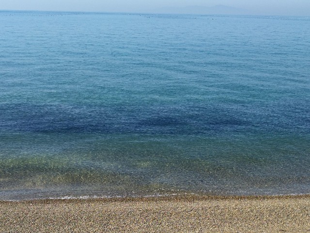 f:id:nikolog:20220102111634j:image