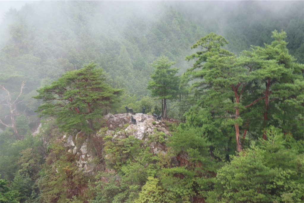 f:id:nikomaruVTR:20190607120407j:image f:id:nikomaruVTR:20190607120407j:image