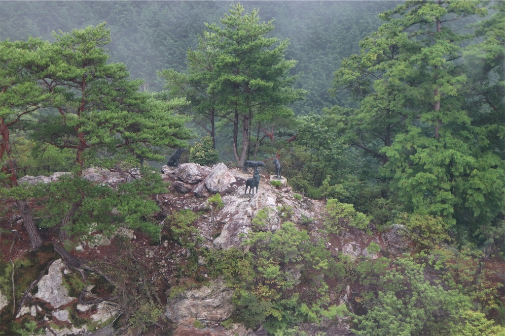 f:id:nikomaruVTR:20190607120410j:image f:id:nikomaruVTR:20190607120410j:image