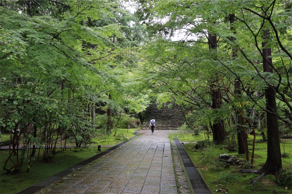 f:id:nikomaruVTR:20190607120438j:image f:id:nikomaruVTR:20190607120438j:image