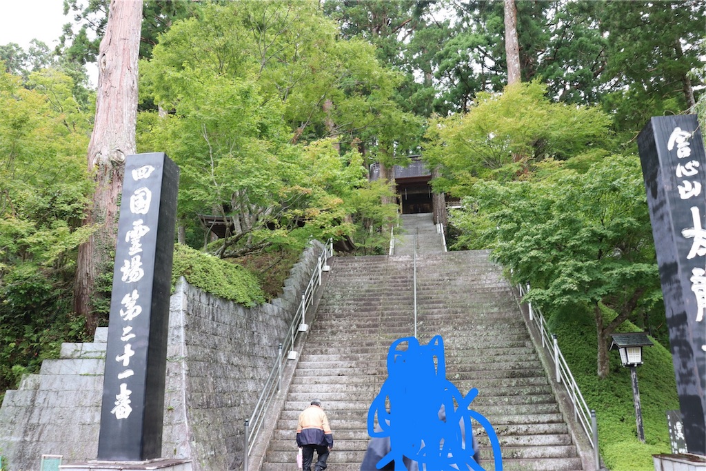 f:id:nikomaruVTR:20190607120549j:image f:id:nikomaruVTR:20190607120549j:image