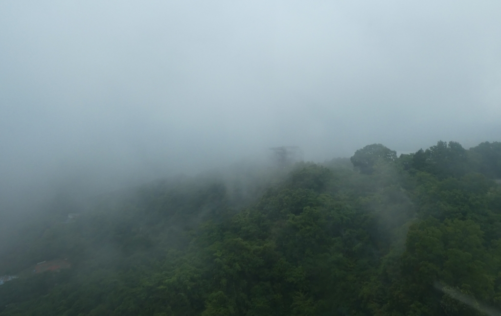 f:id:nikoniko38:20180613060612j:plain f:id:nikoniko38:20180613060612j:plain