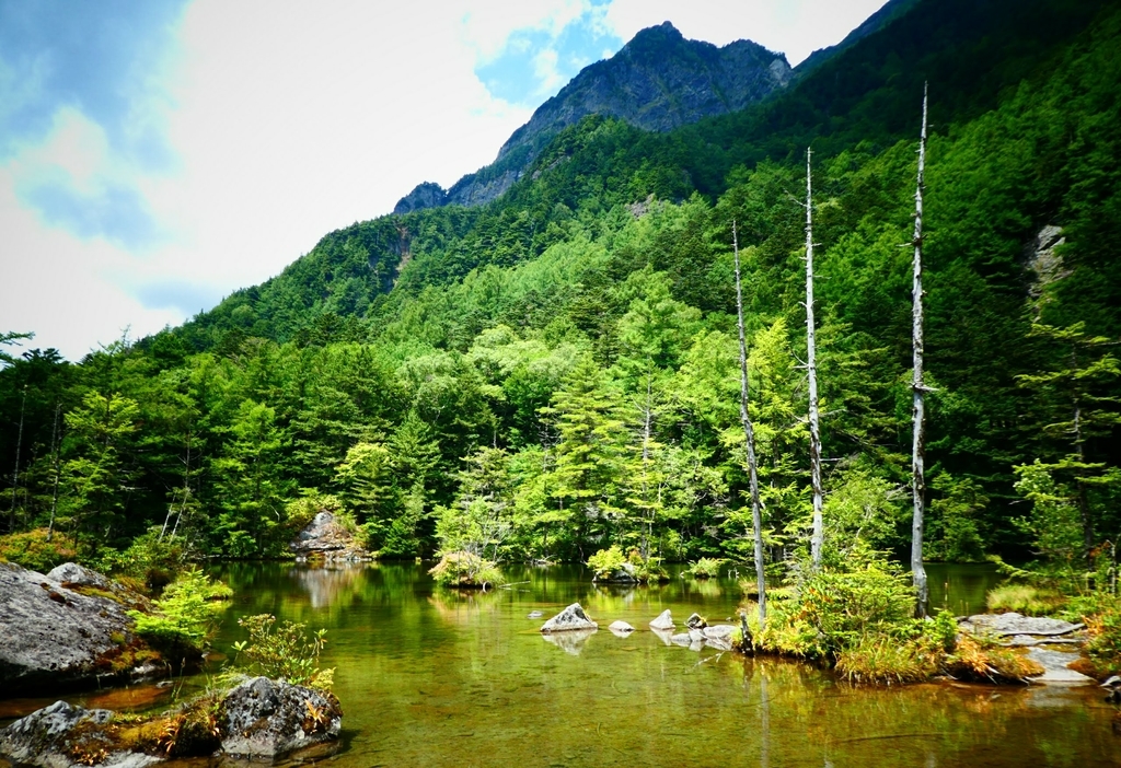 f:id:nikoniko38:20180916221948j:plain f:id:nikoniko38:20180916221948j:plain