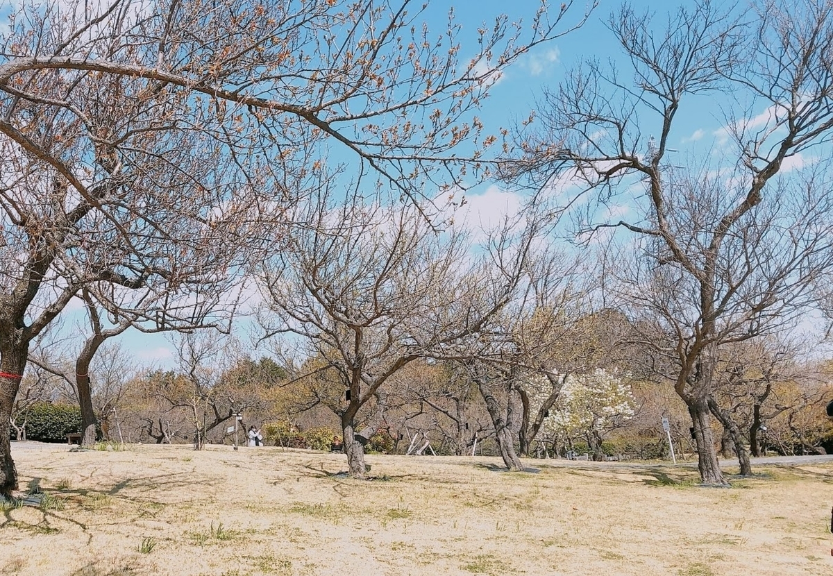 f:id:nikoniko38:20190423140230j:plain f:id:nikoniko38:20190423140230j:plain