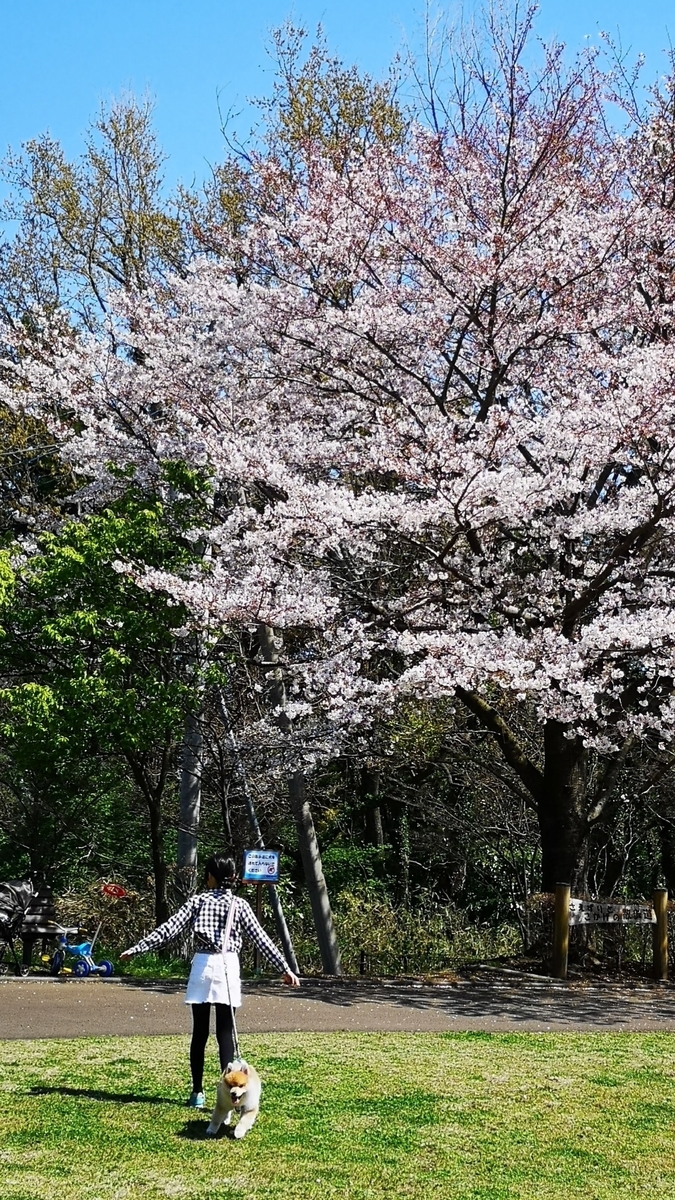 f:id:nikoniko38:20190423140332j:plain f:id:nikoniko38:20190423140332j:plain