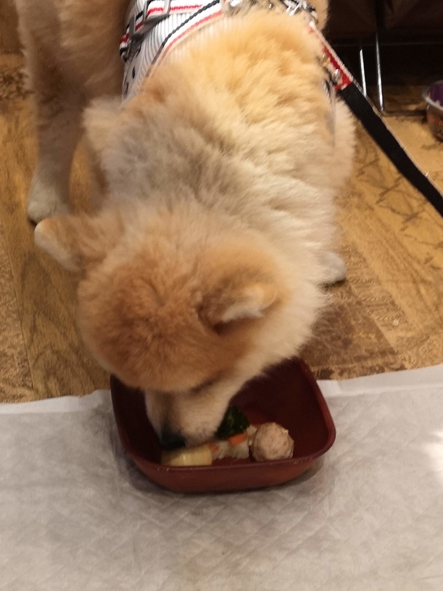 f:id:nikoniko38:20190429140111j:plain f:id:nikoniko38:20190429140111j:plain