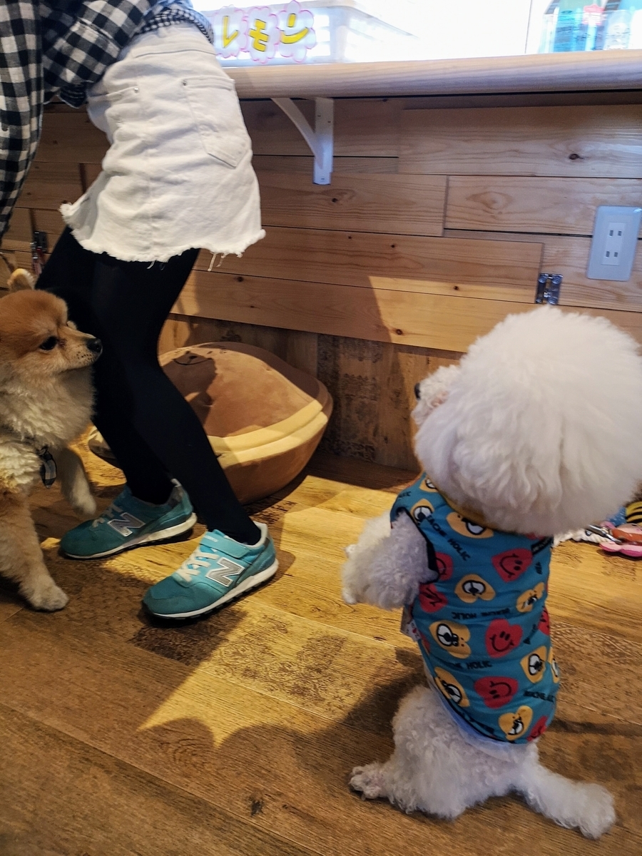 f:id:nikoniko38:20190429140348j:plain f:id:nikoniko38:20190429140348j:plain