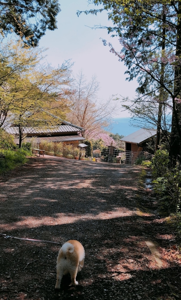 f:id:nikoniko38:20190512232520j:plain f:id:nikoniko38:20190512232520j:plain