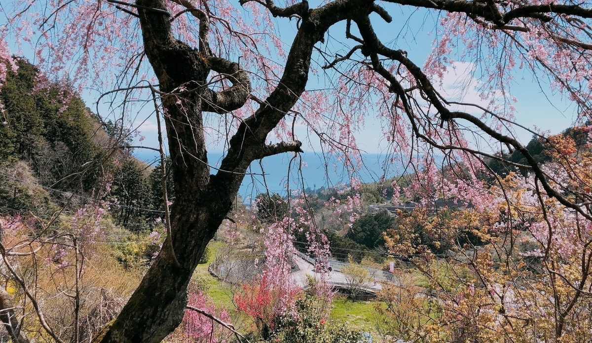 f:id:nikoniko38:20190522222708j:plain f:id:nikoniko38:20190522222708j:plain