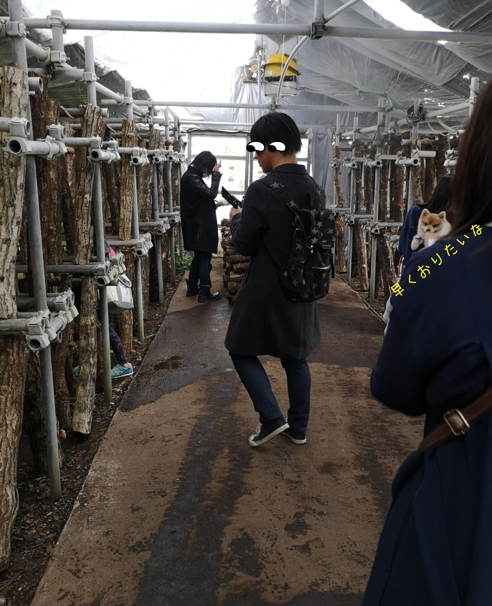 f:id:nikoniko38:20190522232714j:plain f:id:nikoniko38:20190522232714j:plain
