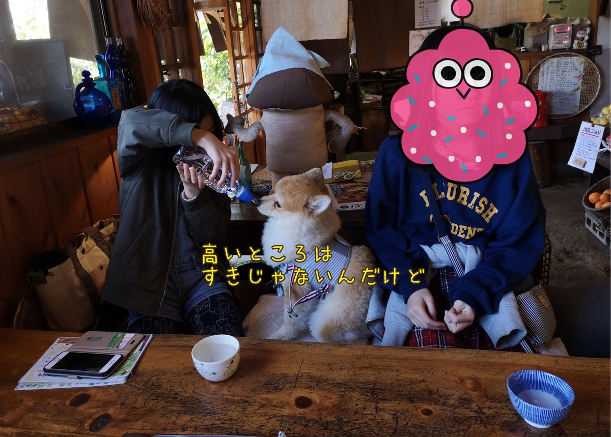 f:id:nikoniko38:20190522233707j:plain f:id:nikoniko38:20190522233707j:plain