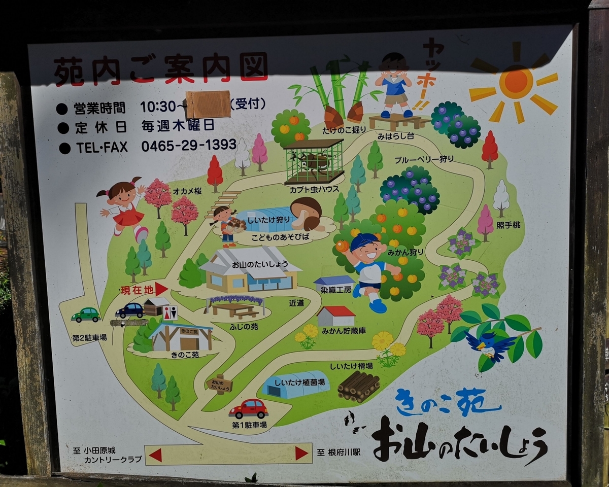 f:id:nikoniko38:20190523052013j:plain f:id:nikoniko38:20190523052013j:plain