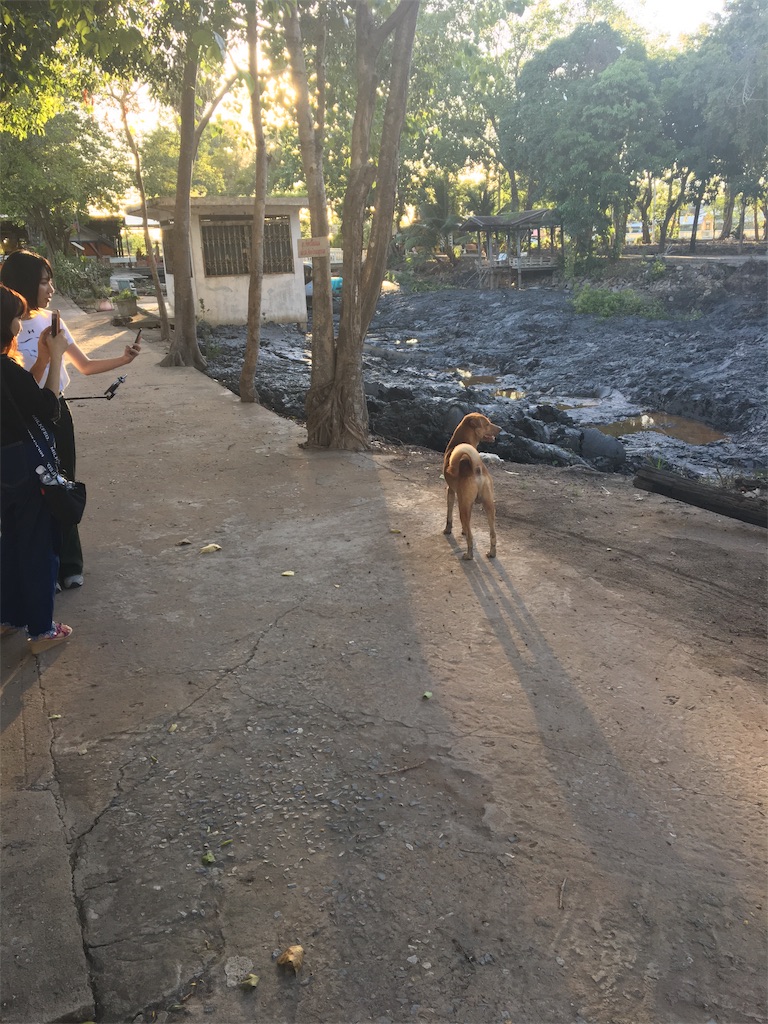 f:id:nikoniko390831:20190919035413j:image f:id:nikoniko390831:20190919035413j:image