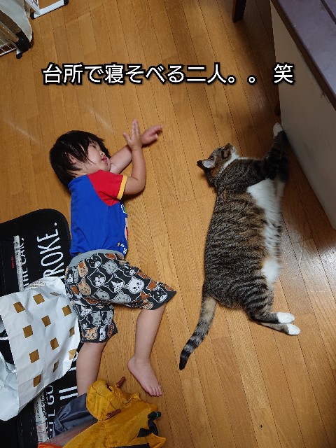 f:id:nikonikopun0813:20190814151241j:image f:id:nikonikopun0813:20190814151241j:image