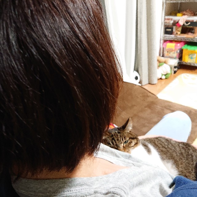 f:id:nikonikopun0813:20201020023002j:image