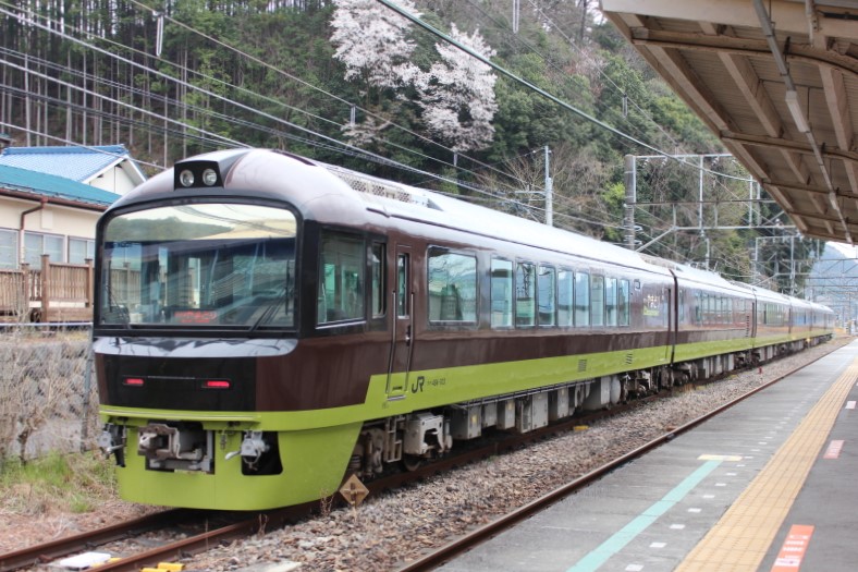 東京都】485系リゾートやまどりで行く春の青梅線 快速「やまどり