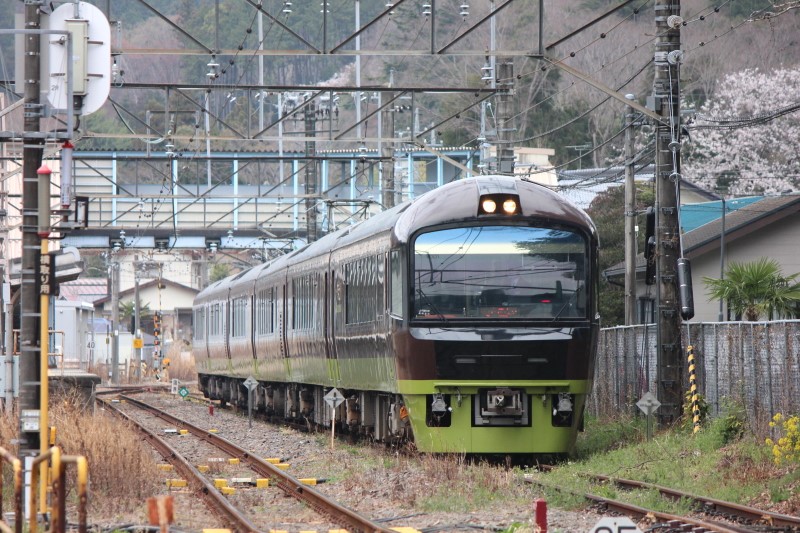 とりやま⭐︎ 東京都】485系リゾートやまどりで行く春の青梅線 快速「やまどり