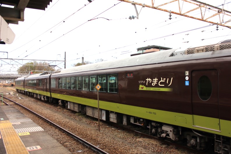 とりやま⭐︎ 東京都】485系リゾートやまどりで行く春の青梅線 快速「やまどり
