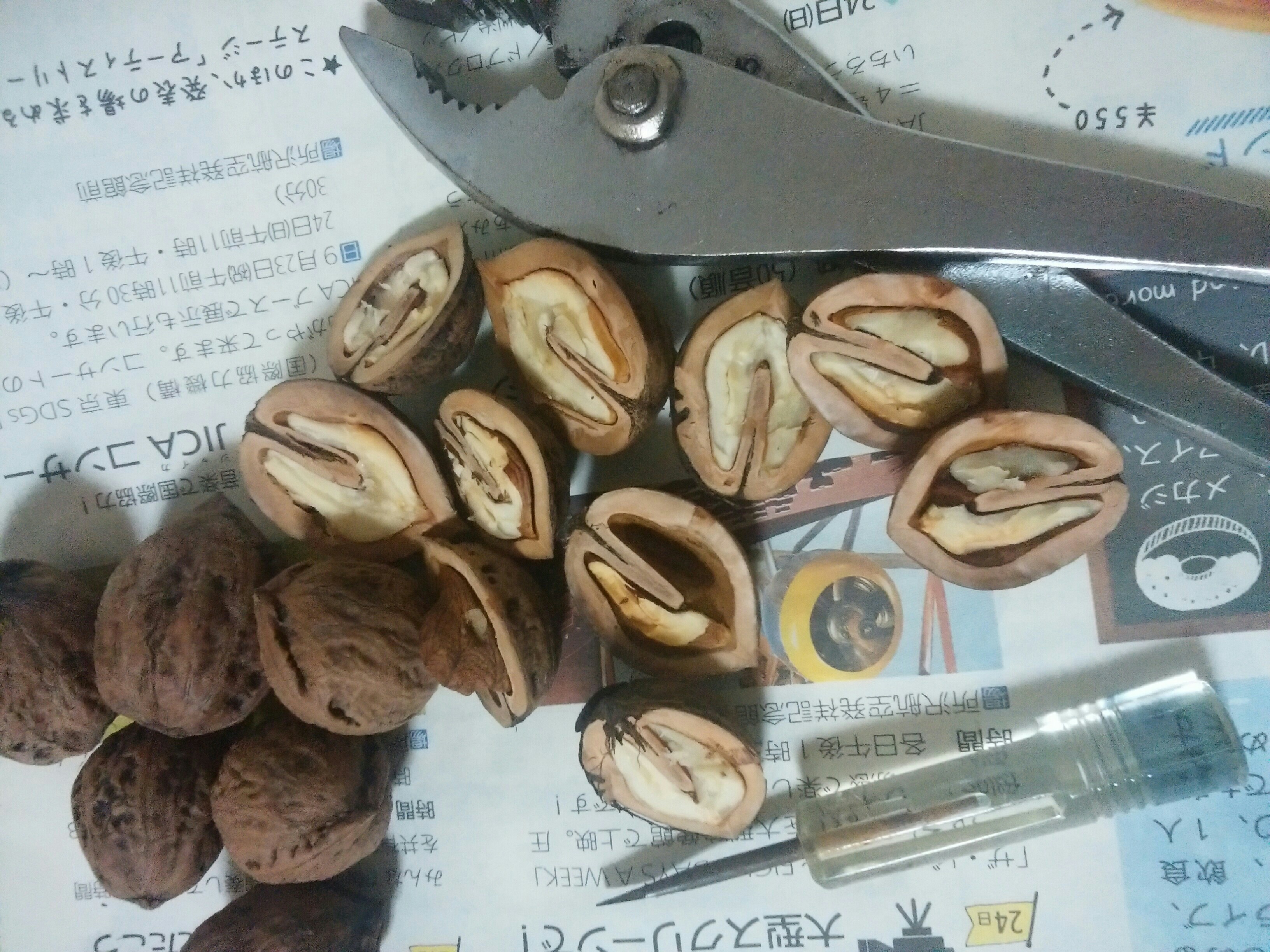 f:id:nikonikouta:20171002173746j:image f:id:nikonikouta:20171002173746j:image