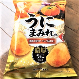 f:id:nikonosukey:20210517162023j:plain