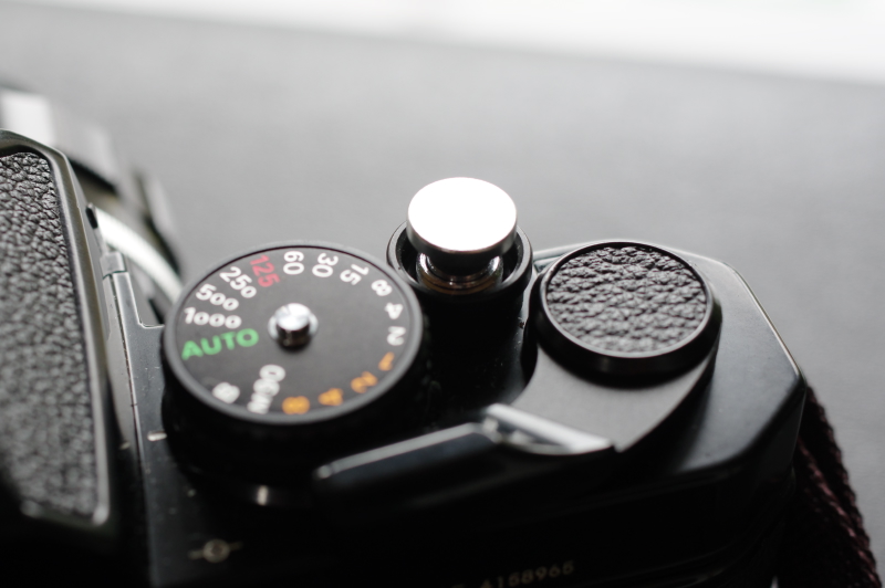 初心者におすすめのフィルムカメラ【シンプルニコンFE