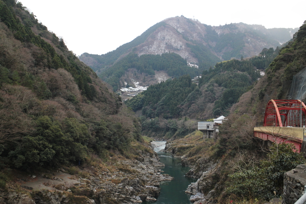 f:id:nikudarumasikakuhead:20190129014231j:plain f:id:nikudarumasikakuhead:20190129014231j:plain