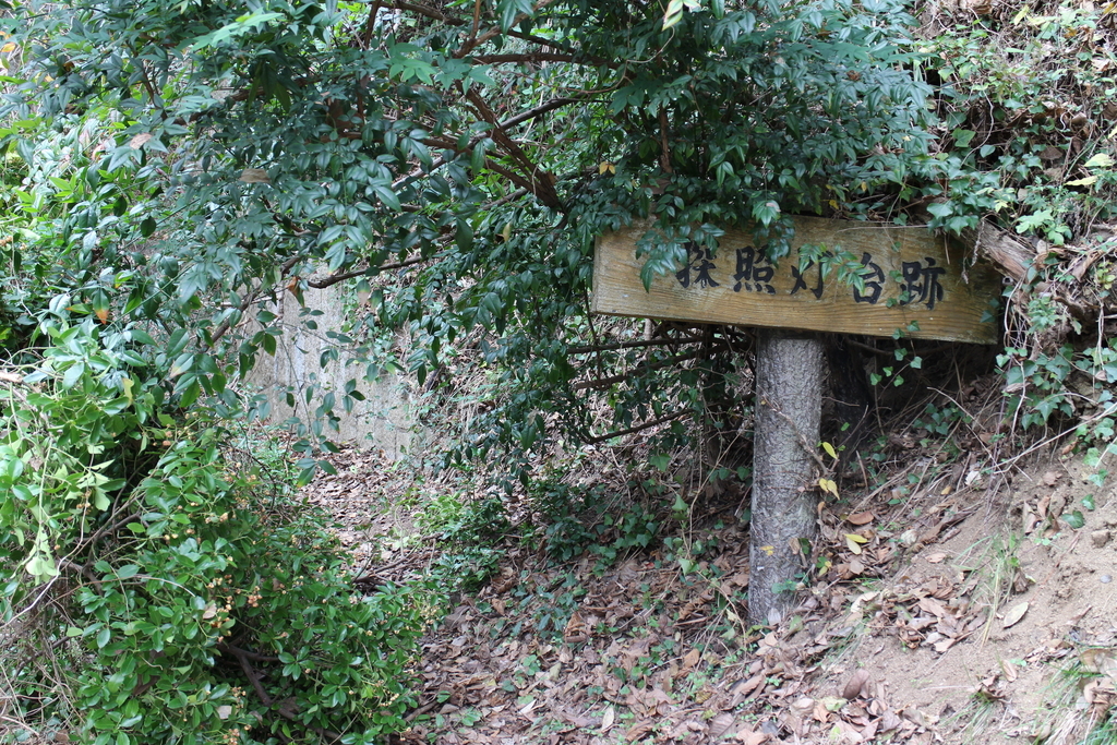f:id:nikudarumasikakuhead:20190131161329j:plain f:id:nikudarumasikakuhead:20190131161329j:plain