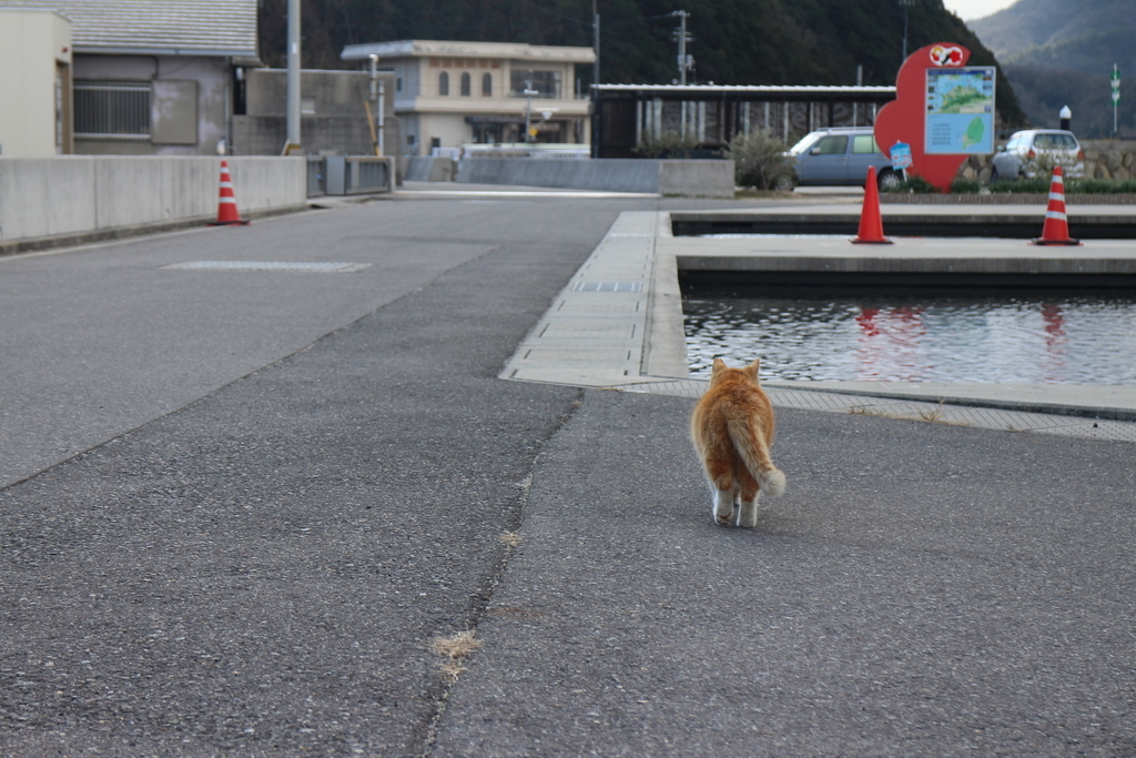 f:id:nikudarumasikakuhead:20190201142008j:plain f:id:nikudarumasikakuhead:20190201142008j:plain