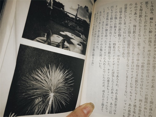 f:id:nikunoasa02:20180119204532j:image f:id:nikunoasa02:20180119204532j:image