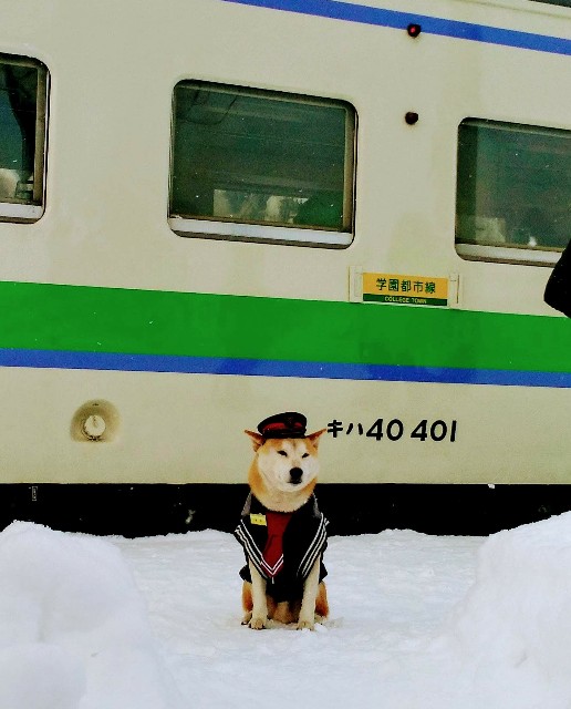 f:id:nikunoki:20190101152358j:image