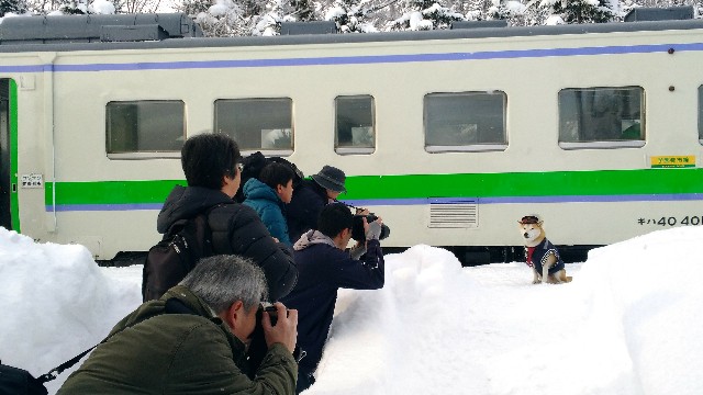 f:id:nikunoki:20190101152832j:image