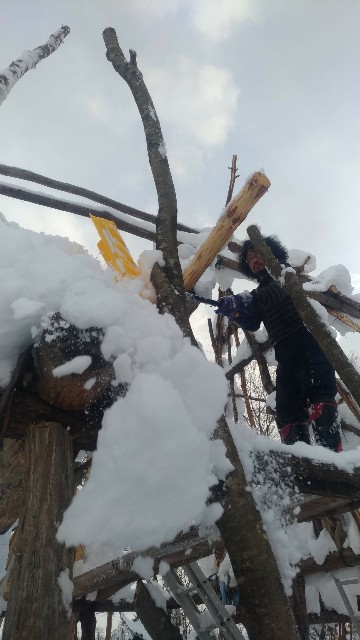 f:id:nikunoki:20190102204343j:image