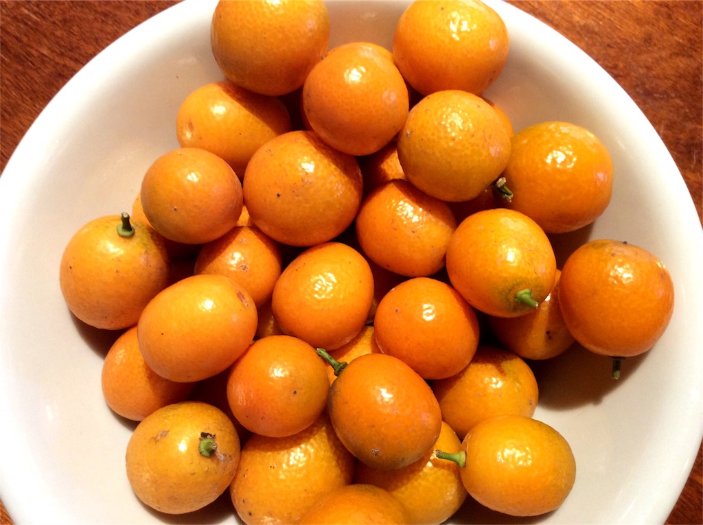 f:id:nil-cafe:20170107102306j:image