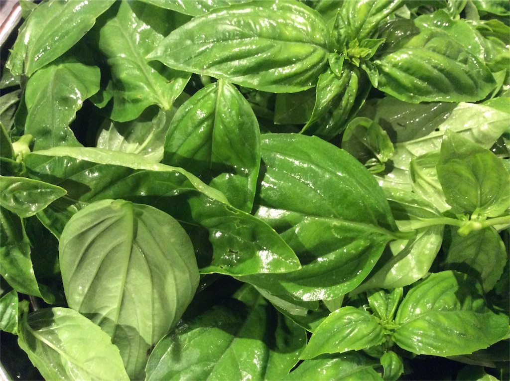 f:id:nil-cafe:20170708105616j:image f:id:nil-cafe:20170708105616j:image