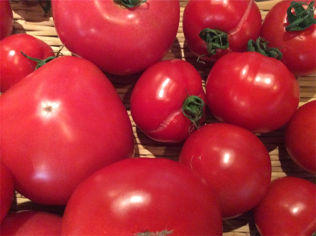 f:id:nil-cafe:20180121103720j:image f:id:nil-cafe:20180121103720j:image