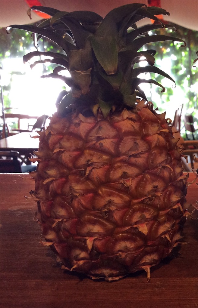 f:id:nil-cafe:20180623104124j:image