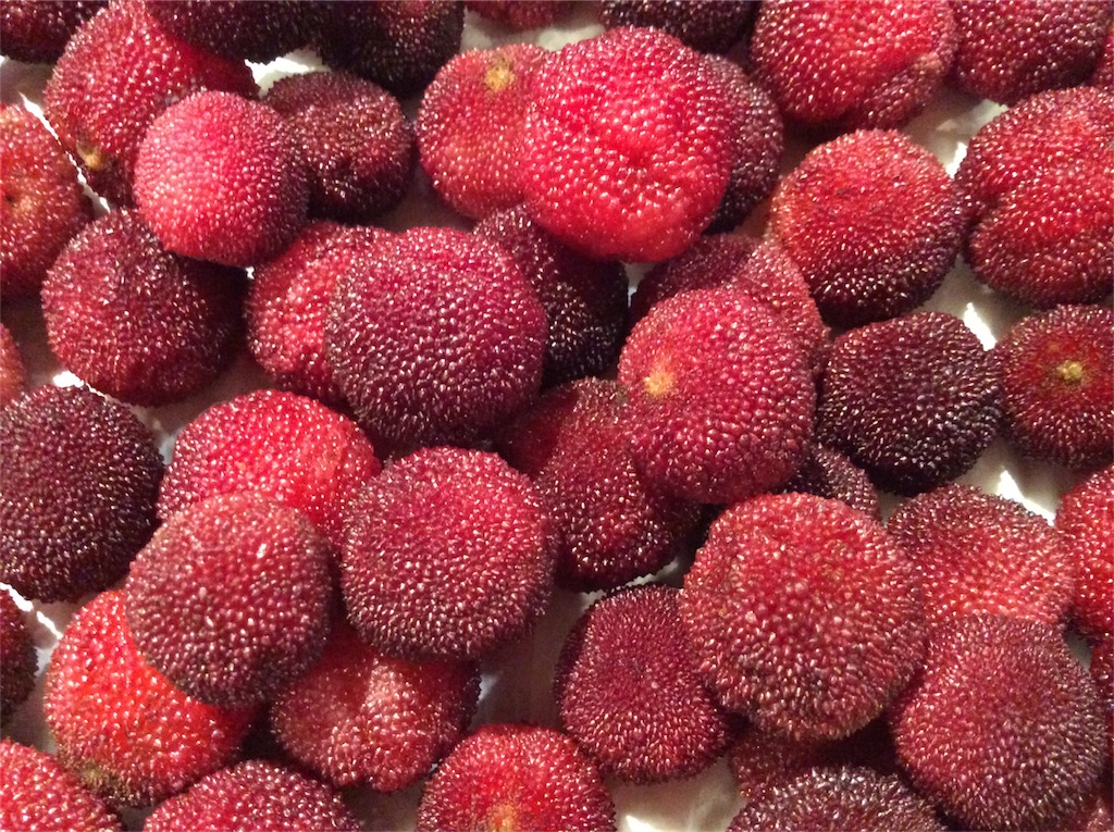 f:id:nil-cafe:20180624104017j:image