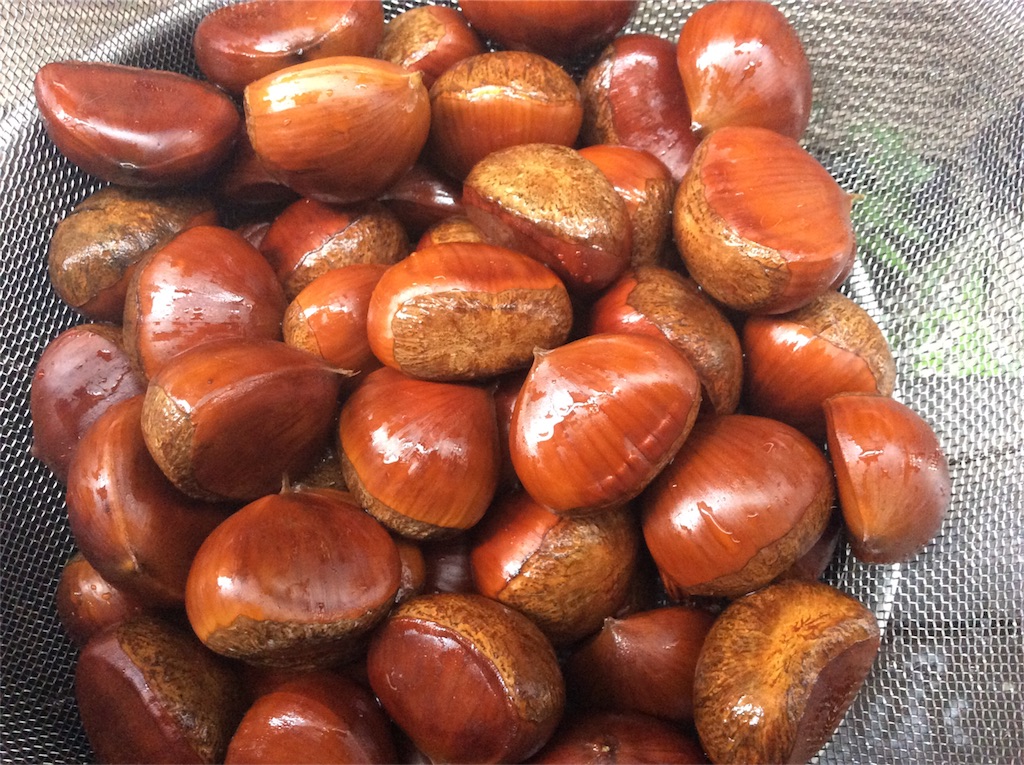 f:id:nil-cafe:20180927105830j:image