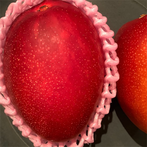 f:id:nil-cafe:20190521105858j:image